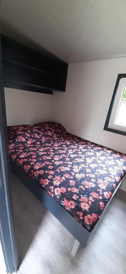 Chalet 2 Landgoedcamping Nienoord In Leek Zewnętrze zdjęcie